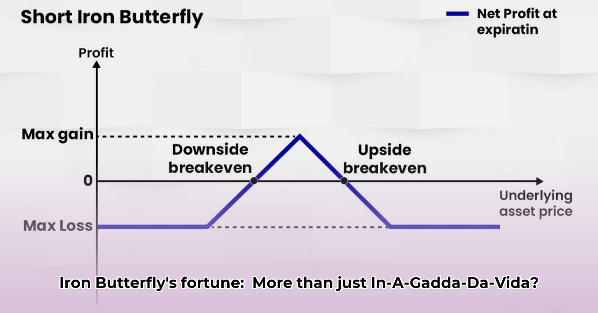 iron-butterfly-net-worth